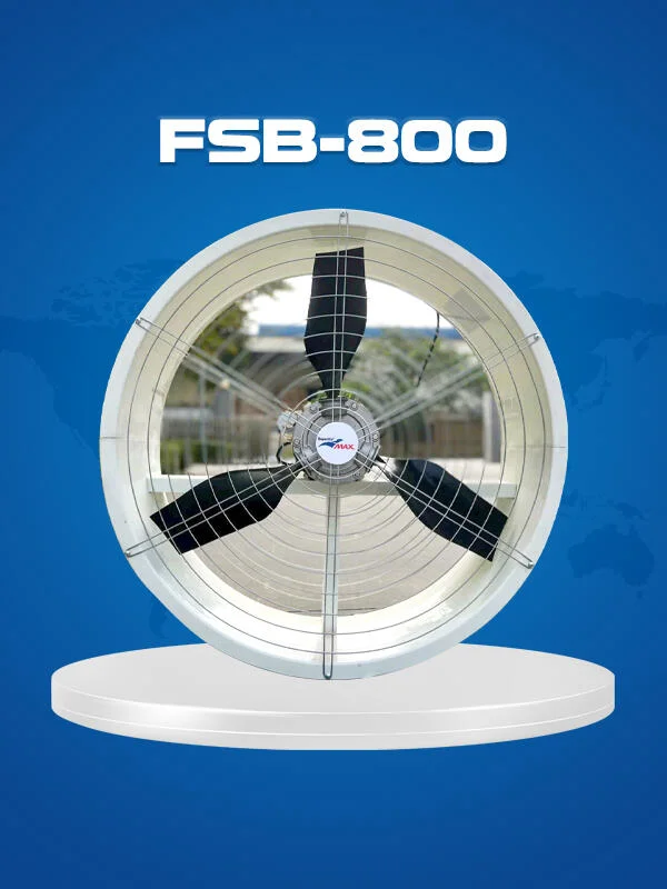 fsb800