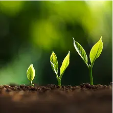 development journey image 4